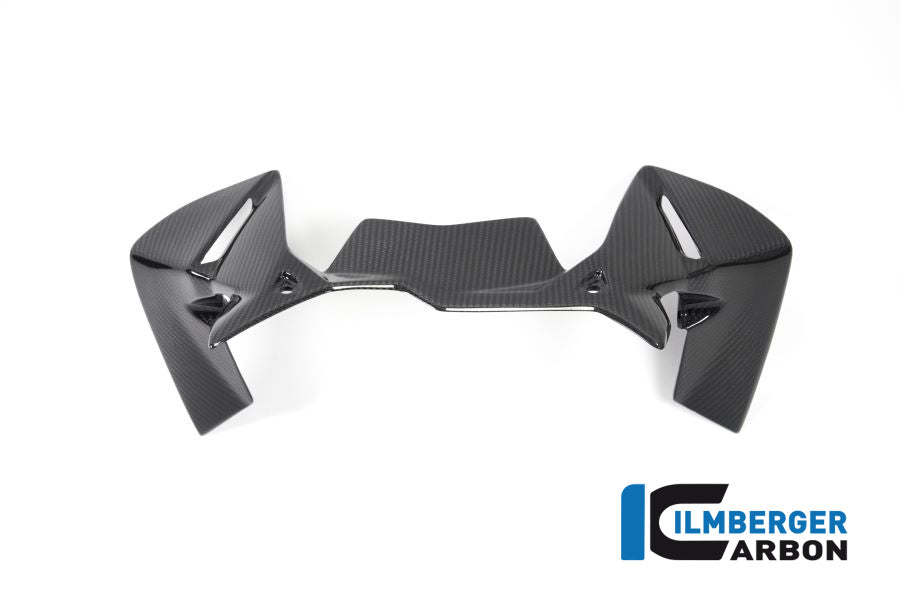 Ilmberger Carbon Windprotector On The Instruments BMW R 1250 GS