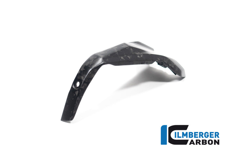 Ilmberger Carbon Spark Plug Access Cover Left BMW R 1300 GS