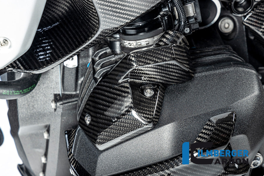 Ilmberger Carbon Injector Nozzle Cover Left BMW R 1300 GS