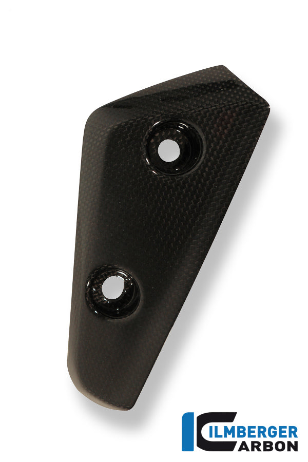 Ilmberger Carbon Flap On Front Left Fender Carbon