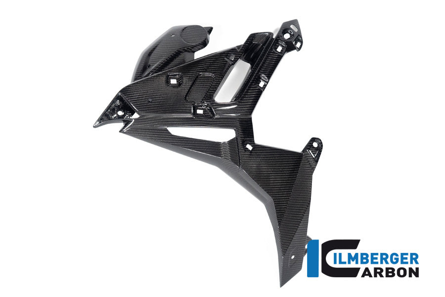 Ilmberger Carbon Watercooler Cover Left BMW M 1000 R From 2023