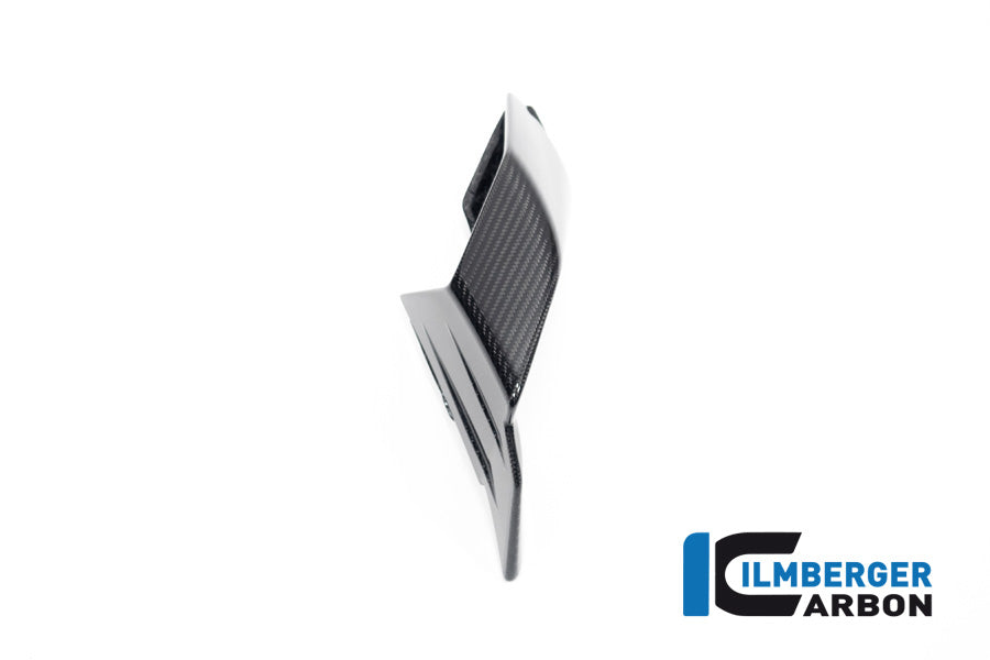 Ilmberger Carbon Wingletkit For BMW S 1000 RR From 2019