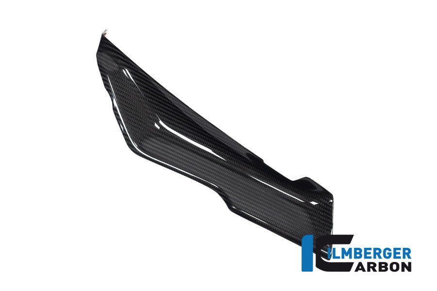 Ilmberger Carbon Cover Under The Front Fairing Left Side BMW R 1250 RS