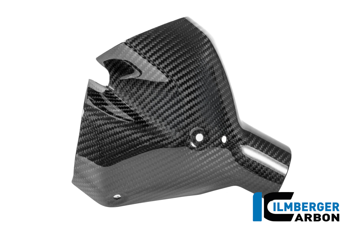 Ilmberger Carbon Exhaust Heat Shield Kit BMW R 1300 R - Gloss / Twill