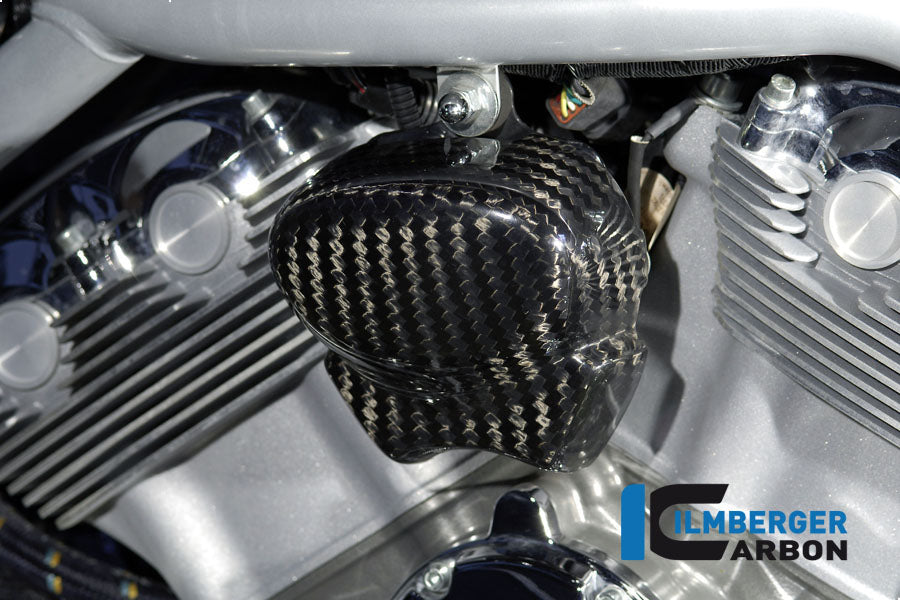 Ilmberger Carbon Horn Cover Carbon For Harley-Davidson V Rod