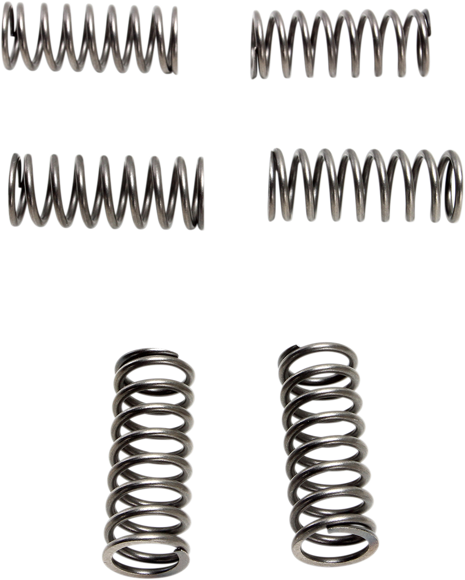 EBC Brakes Clutch Springs - 6 Pcs.