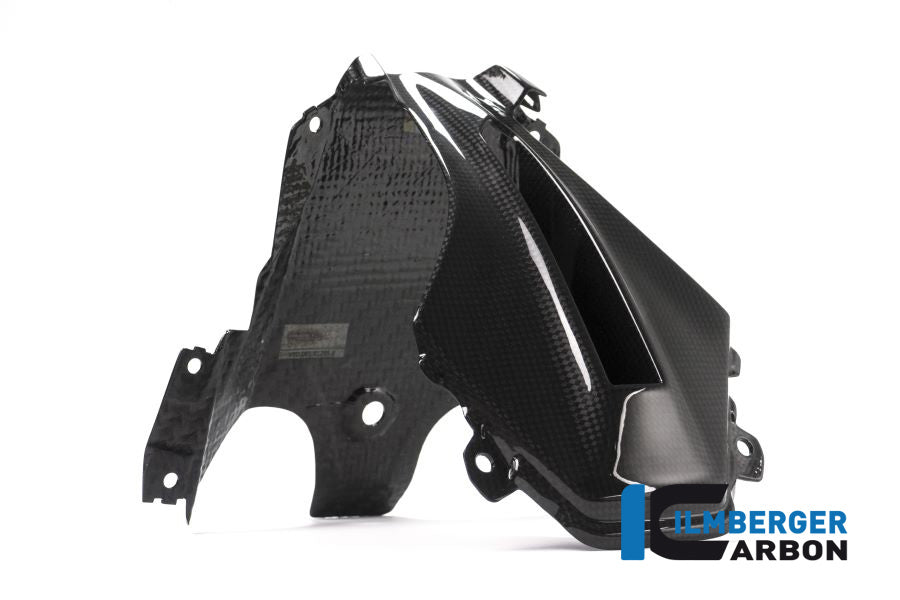 Ilmberger Carbon Verkleidungsmitterteil Oben BMW R1200RS'15