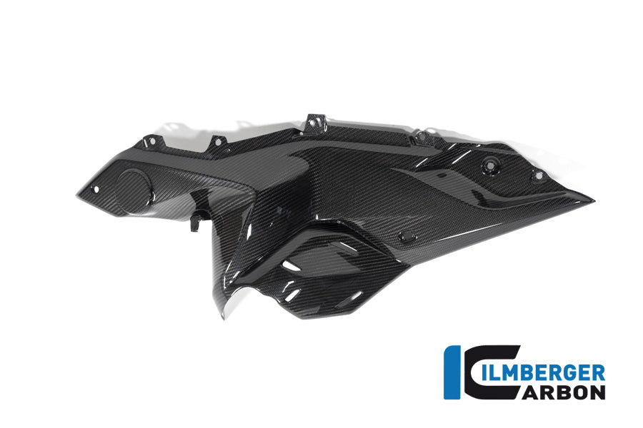 Ilmberger Carbon Side Panel Under The Tank Left Side BMW R 1250 RS