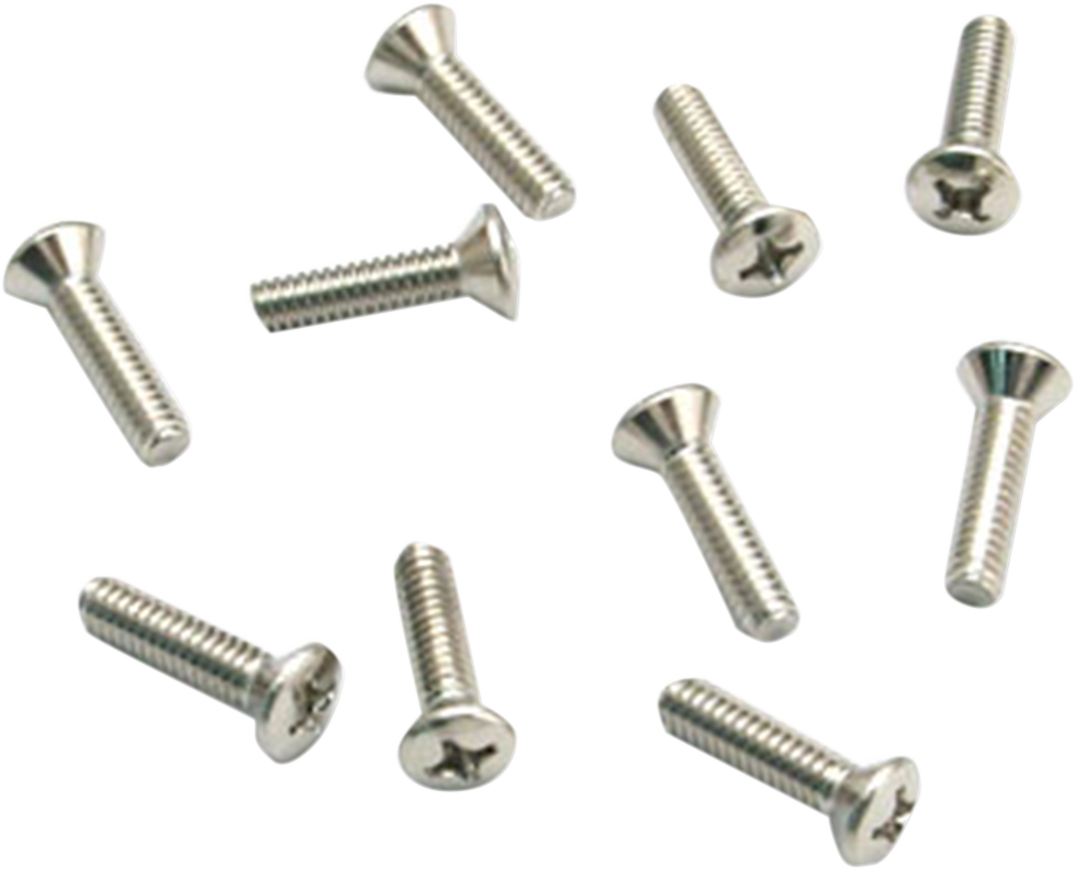 S&S Cycle Air Cleaner Cover Screws