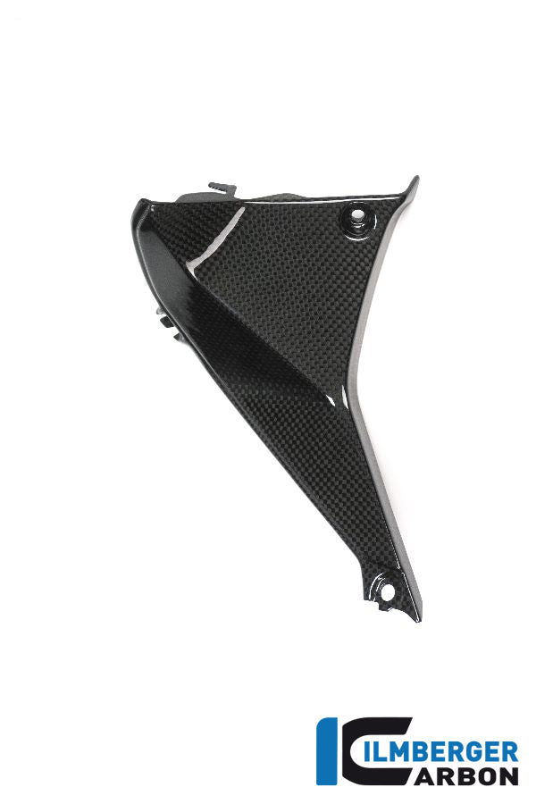 Ilmberger Carbon Abdeckung Links Neben Dem Cockpit BMW R1200RS'15