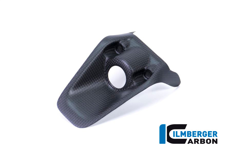 Ilmberger Carbon Ignition Switch Cover Ducati Monster 1200R