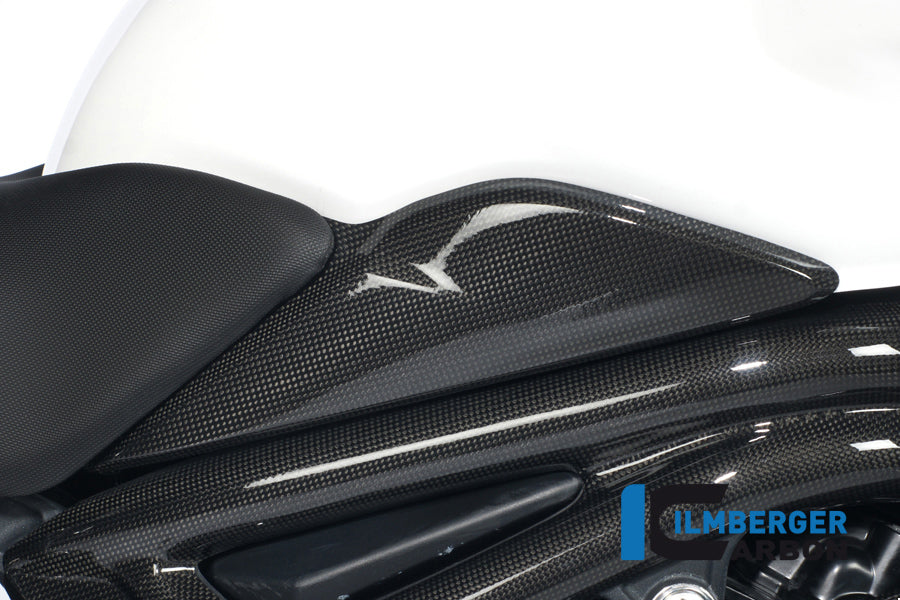 Ilmberger Carbon Tank Side Cover Right Carbon