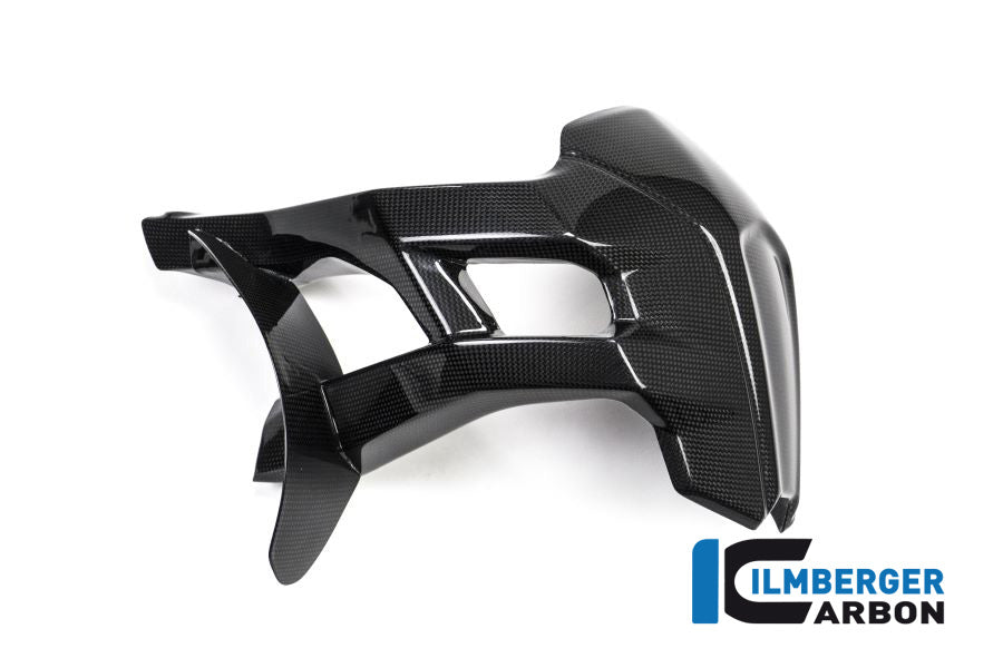 Ilmberger Carbon Rear Splash Guard Surface Ducati MTS 1200 2015 - Gloss
