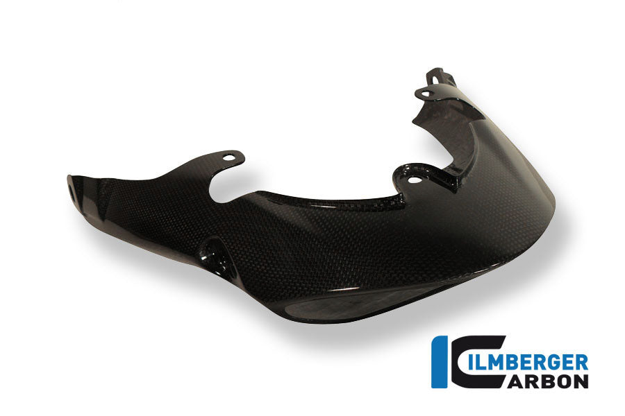 Ilmberger Carbon License Plate Holder (Incl. Taillight Cover With Indicator Mount) Carbon Triumph Speed Triple 1050