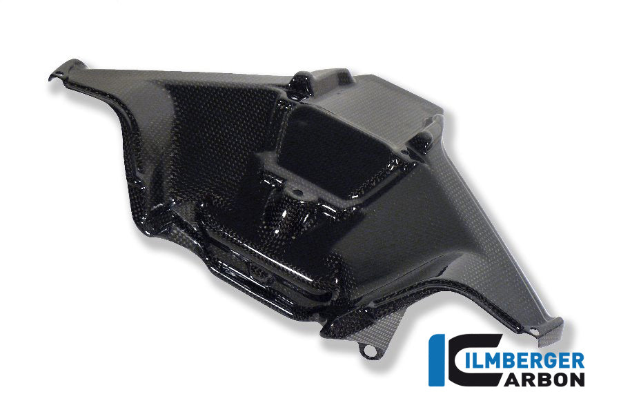 Ilmberger Carbon Real Surface Duc Panigale Rac 2-Piece