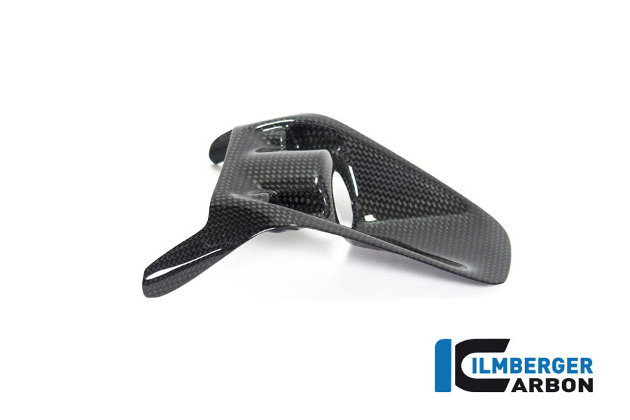 Ilmberger Carbon Ignition Switch Cover Ducati Monster 1200R - Gloss