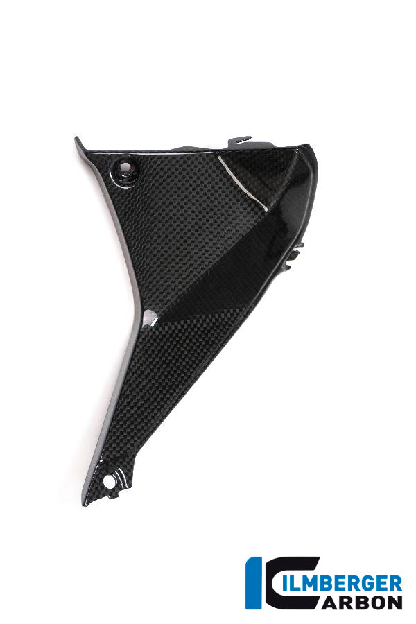 Ilmberger Carbon Abdeckung Rechts Neben Dem Cockpit BMW R1200RS'15