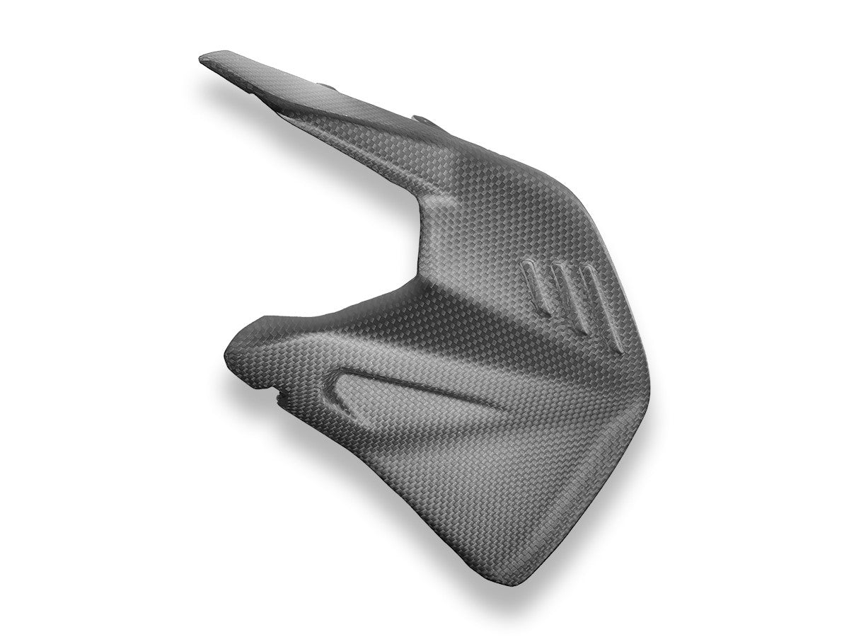 CRB234O - PANIGALE/SF V4 MY25 CARBON SWINGARM PROTECTOR