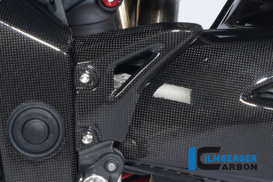 Ilmberger Carbon Heel Guard Left Carbon