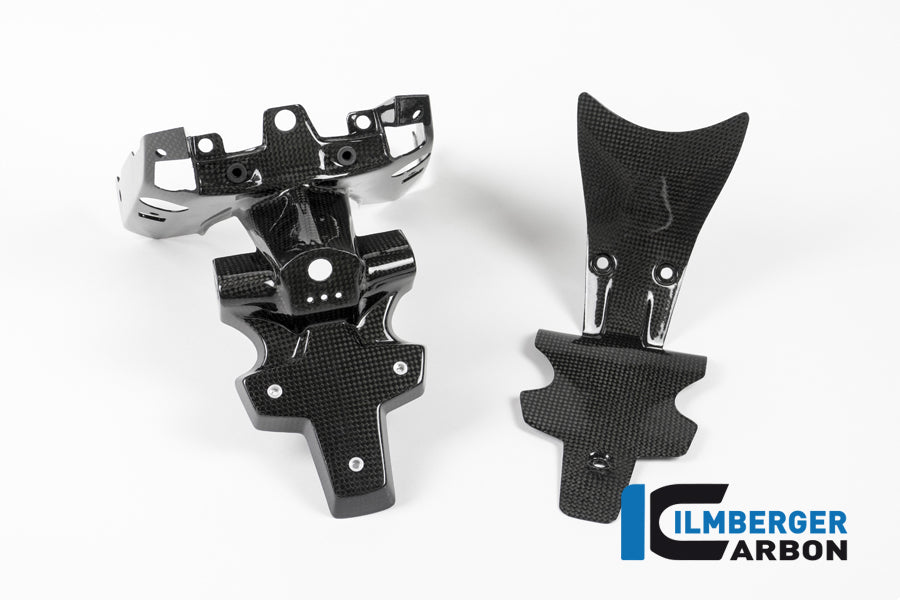 Ilmberger Carbon Numberplateholder Carbon - BMW R 1200 R (LC) From 2015 / BMW R 1200 RS (LC) From 2015