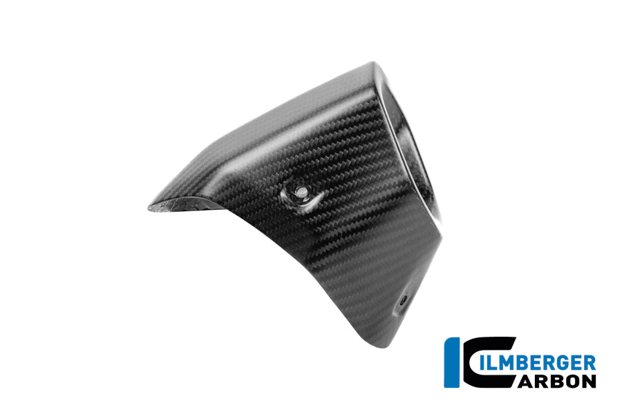 Ilmberger Carbon Exhaust End Cap Protector BMW R 1300 GS - Matte / Twill