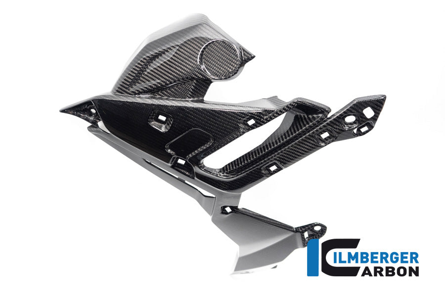 Ilmberger Carbon Watercooler Cover Left Side BMW S 1000 R MY From 2021