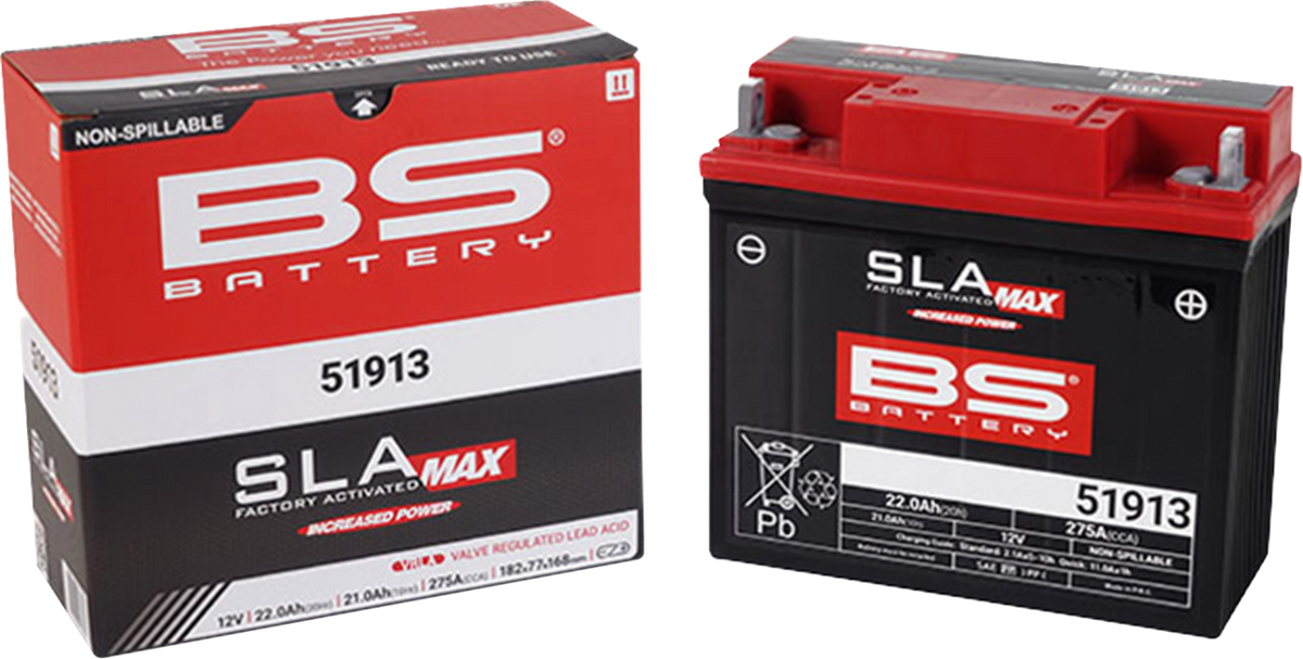 BS Battery Battery - 51913
