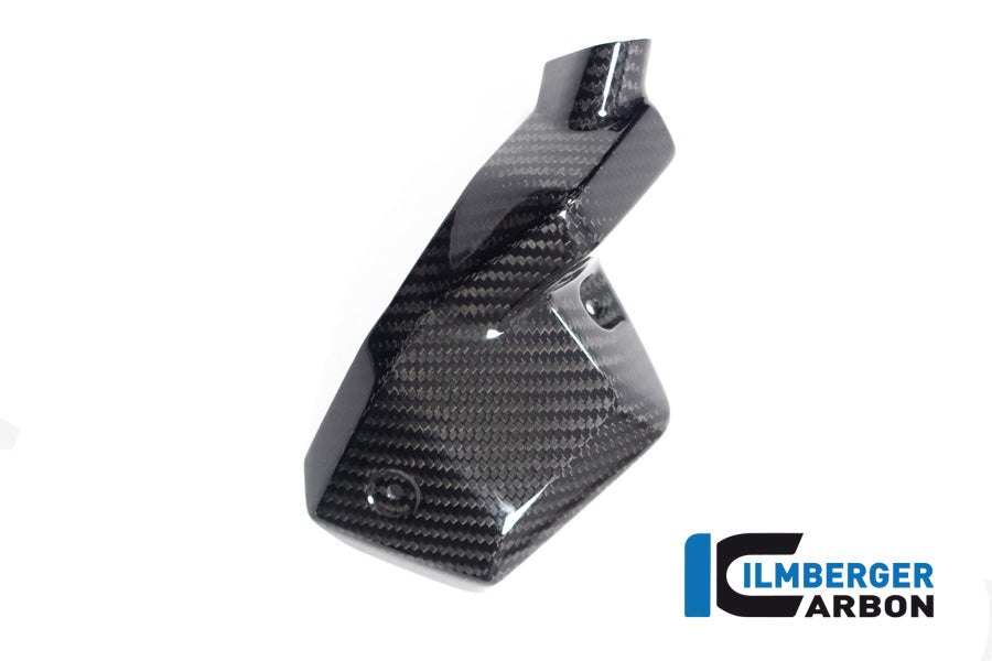 Ilmberger Carbon Injector Nozzle Cover Left BMW R 1300 GS