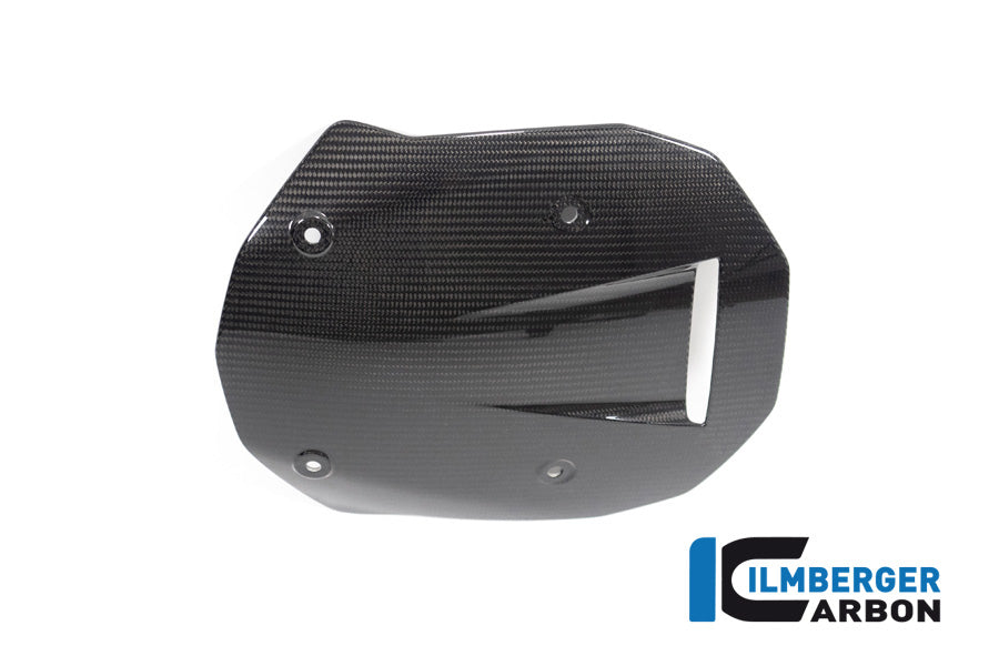 Ilmberger Carbon Windshield BMW M 1000 XR 2024