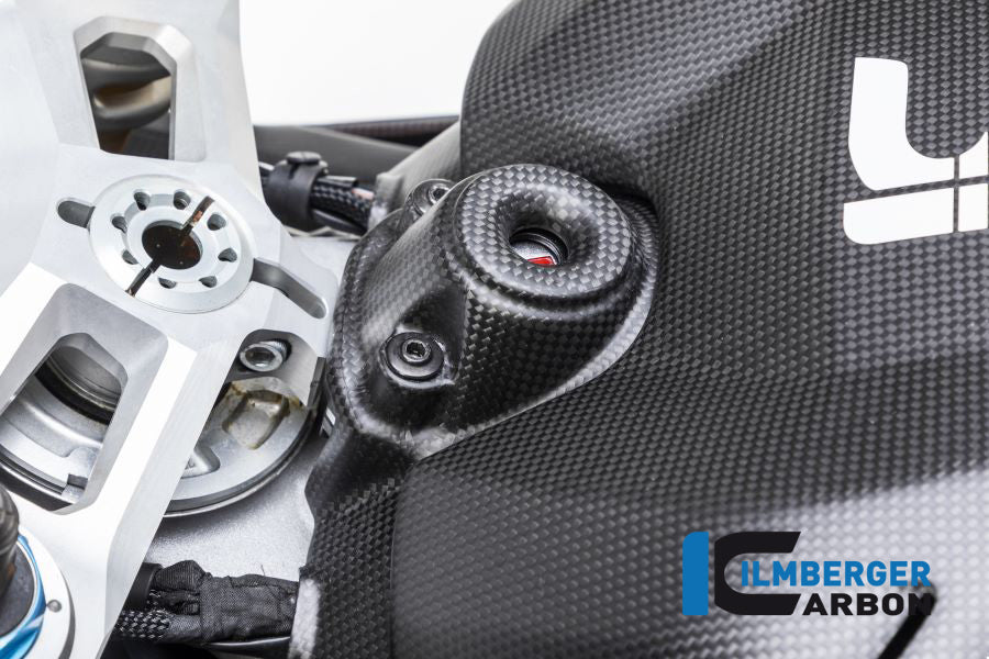 Ilmberger Carbon Ignition Switch Cover Ducati Panigale V4 / V4 S - Matte