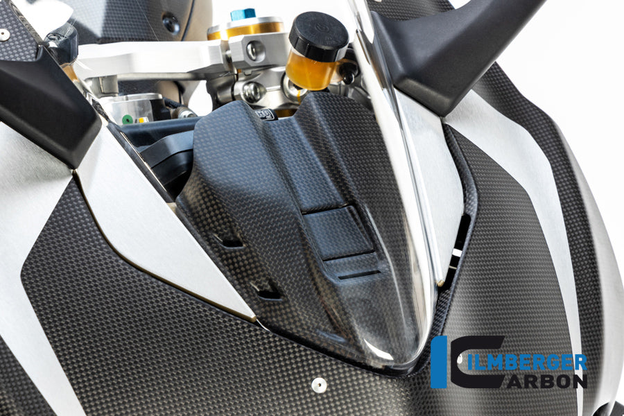Ilmberger Carbon Instrument Cover Ducati Panigale V4 / V4 S - Matte