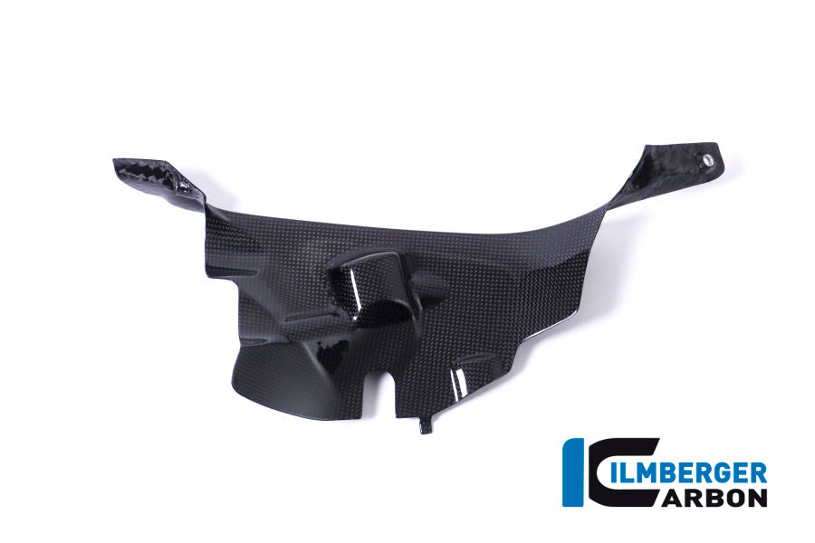 Ilmberger Carbon Air Tube Cover Right Ducati Panigale V4 / V4 S