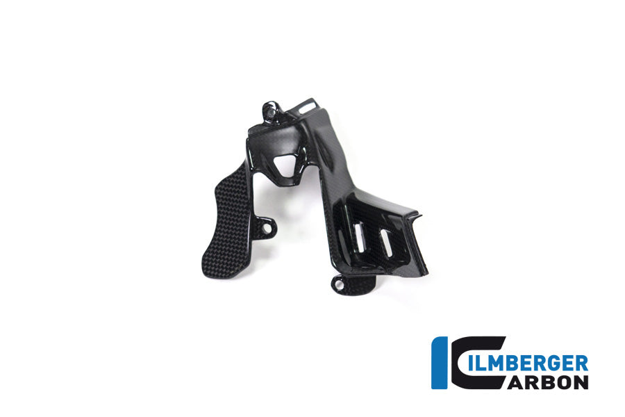 Ilmberger Carbon Instrument Cover Ducati Panigale V4 / V4 S - Gloss