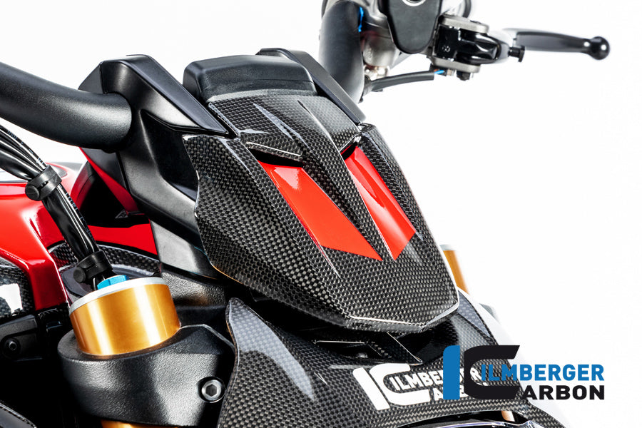 Ilmberger Carbon Instrument Cover Ducati Diavel 1260 - Gloss