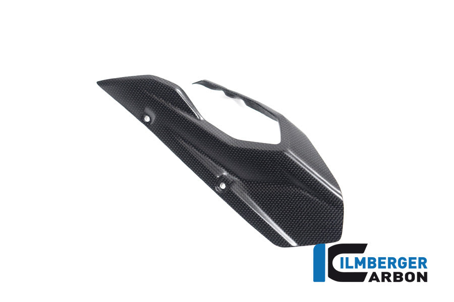 Ilmberger Carbon Chainguard/Swingarm Matt Surface Multistrada V4