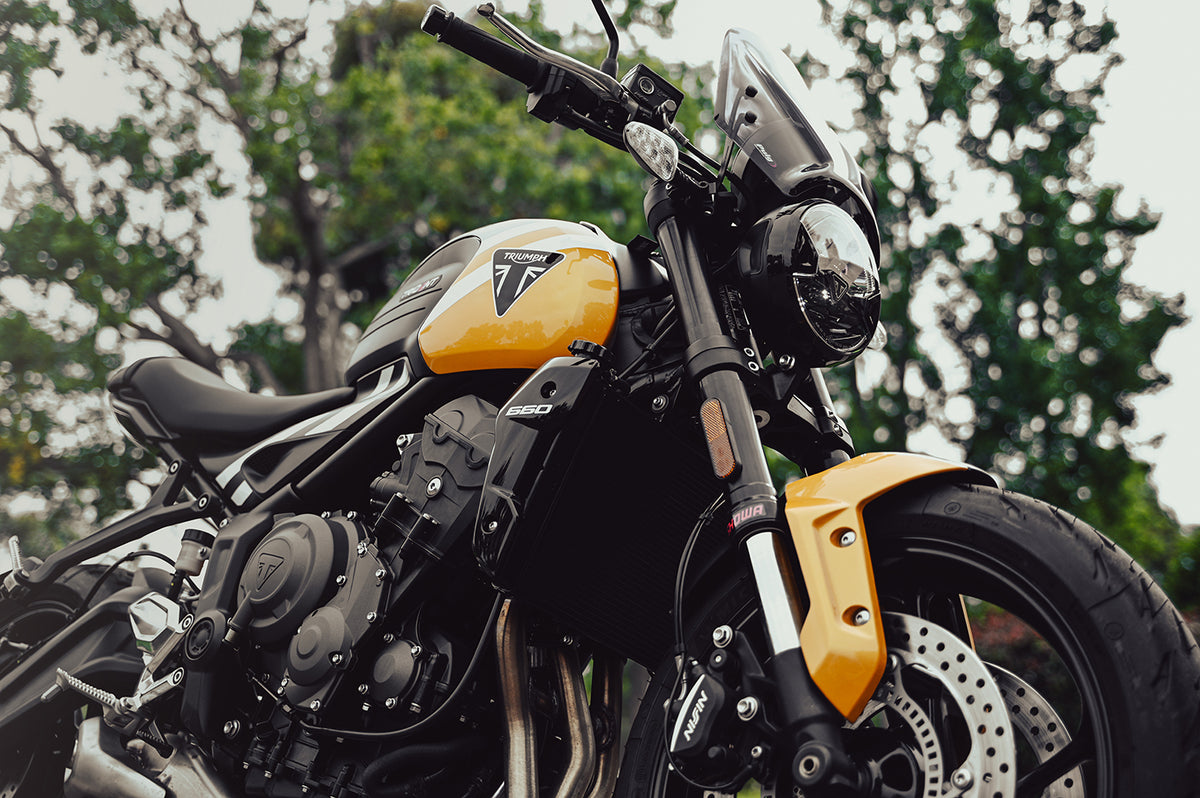 BT Moto Trident 660.jpg