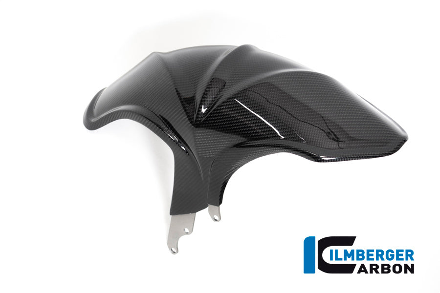 Ilmberger Carbon Rear Hugger BMW R 1250 R (LC) 2019