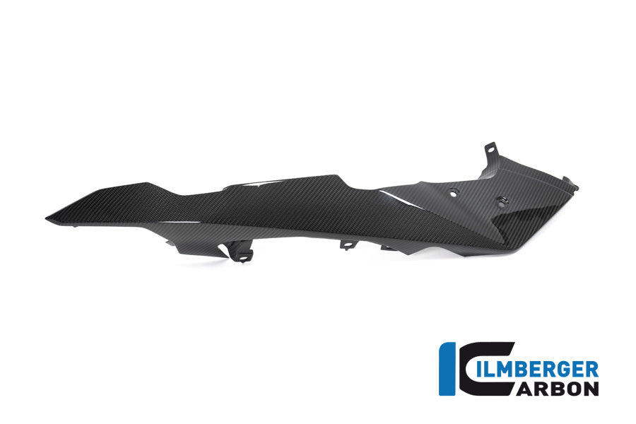 Ilmberger Carbon Front Beak / Upper Mudguard Left Side BMW R 1250 GS Adventure From 2019