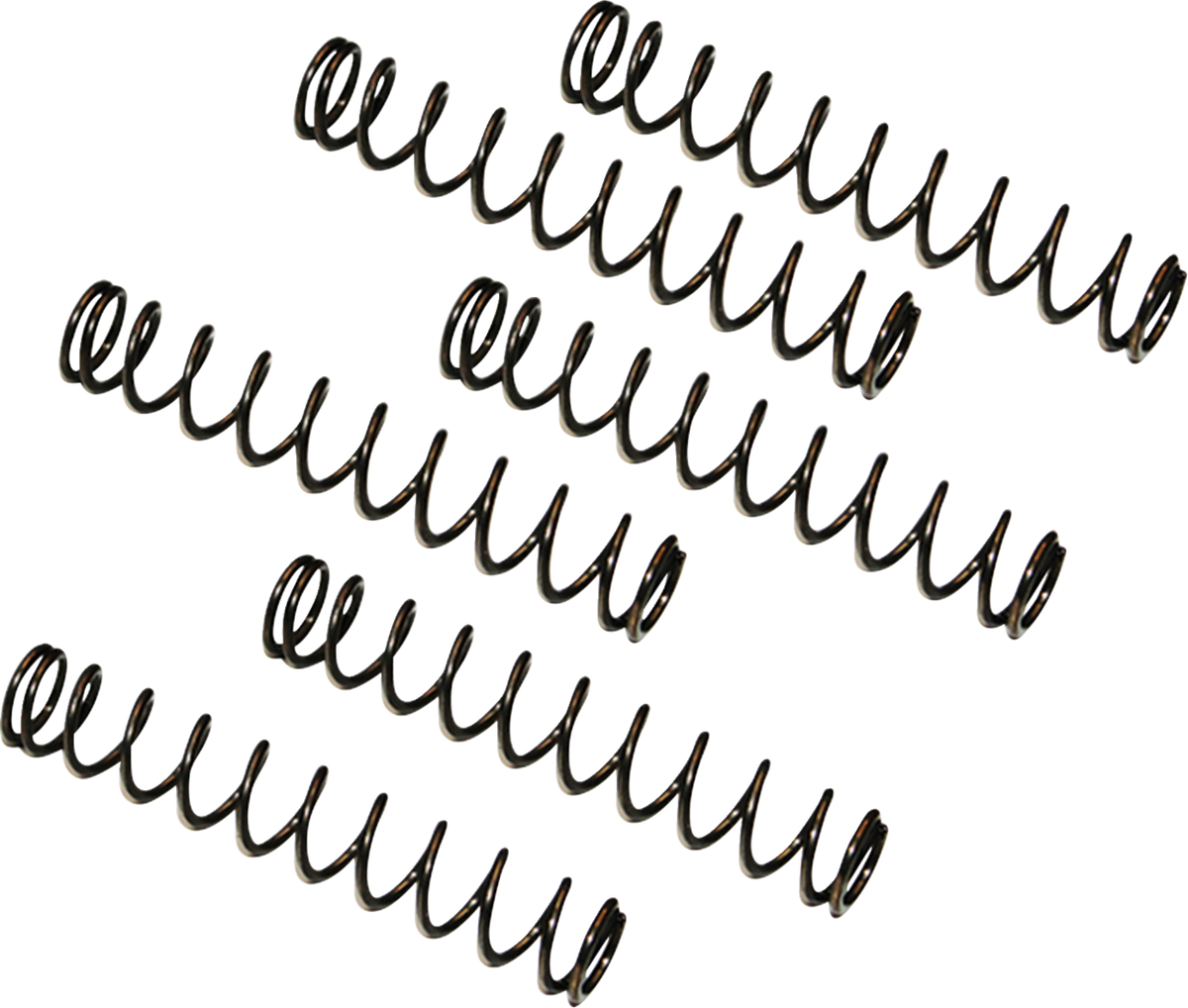 Feuling Parts Camplate Pressure Relief Spring - Twin Cam Engine Camplates '99-'17