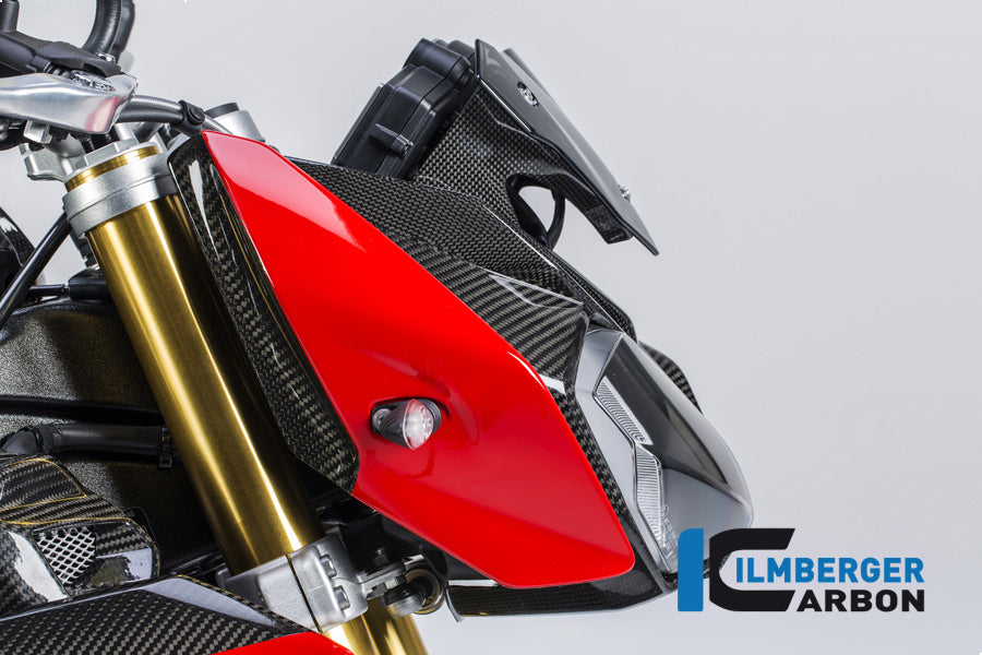 Ilmberger Carbon Side Cover On The Top Right Carbon