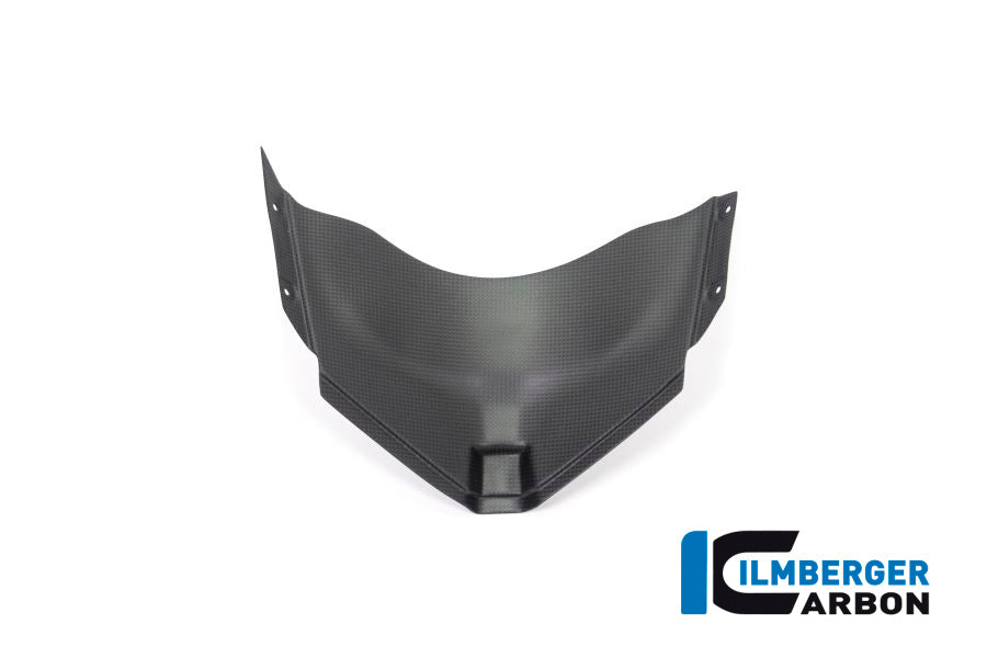 Ilmberger Carbon Panel Under The Front Fairing Ducati Panigale V4 Racing