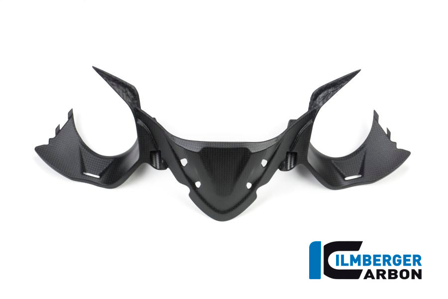 Ilmberger Carbon Instrument Panel Matt Carbon Ducati Panigale 1299 (From 2015)