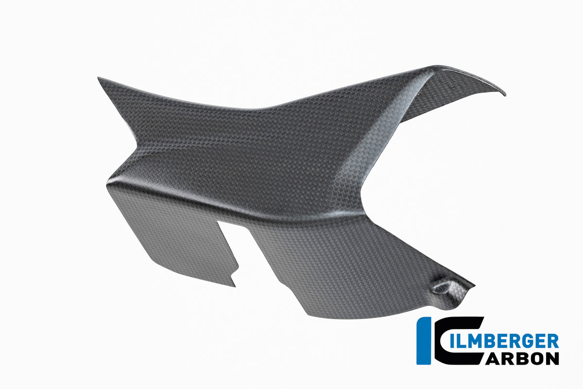 Ilmberger Carbon Right Winglet Fairing Carbon Matte Ducati Multistrada V4 2025