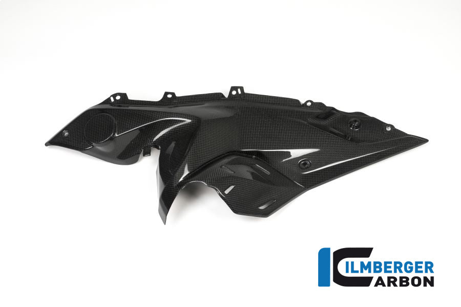 Ilmberger Carbon Seitendeckel Unter Tank Links BMW R 1200 RS'15