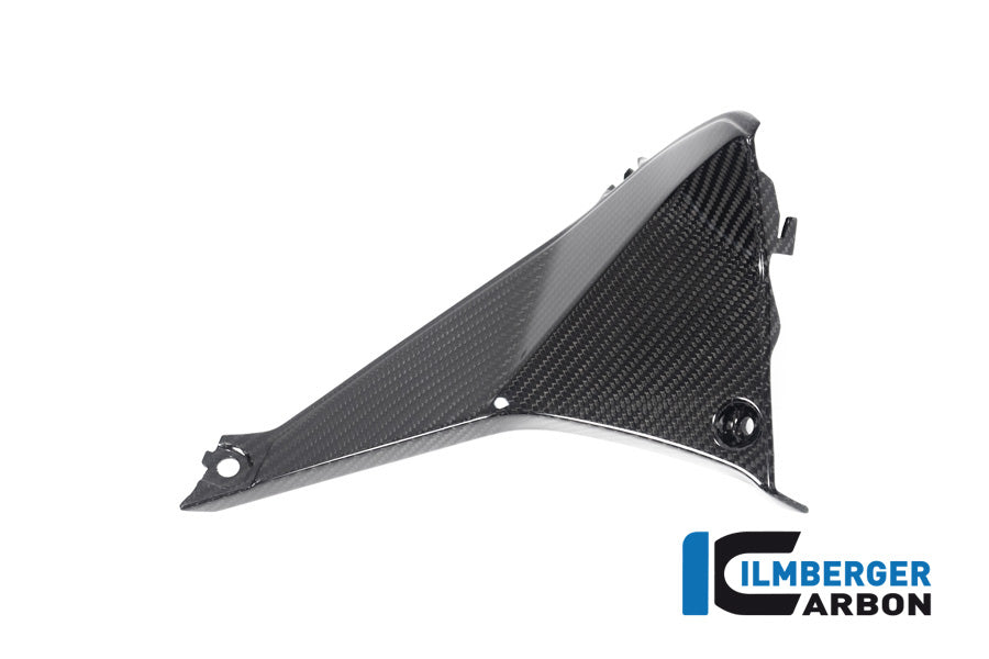 Ilmberger Carbon Cover Near The Instrument Left Side BMW R 1250 RS´19