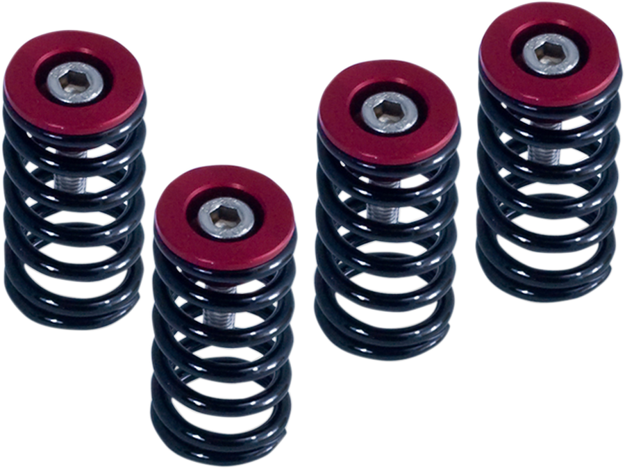 Barnett Clutch Spring Kit
