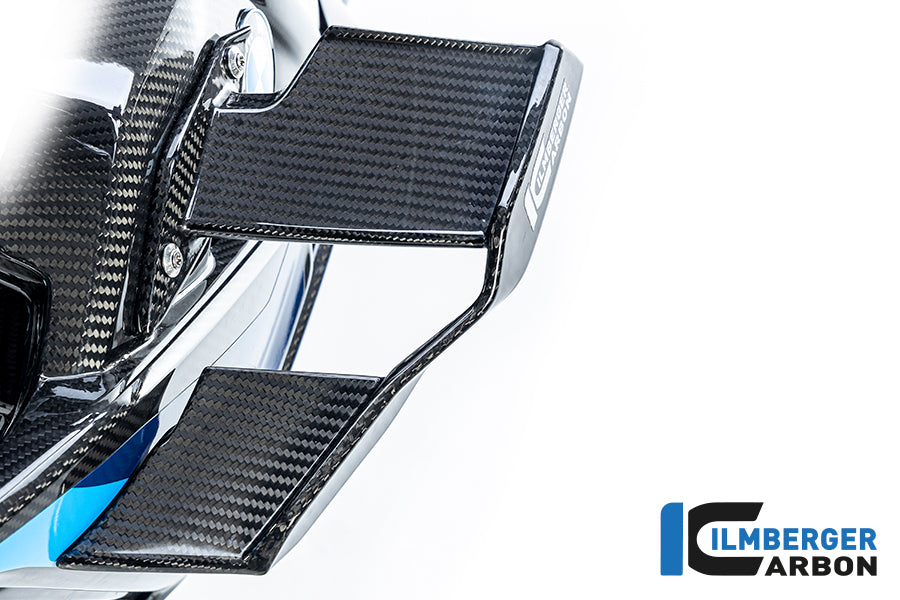 Ilmberger Carbon Winglet Left BMW M1000R 2023
