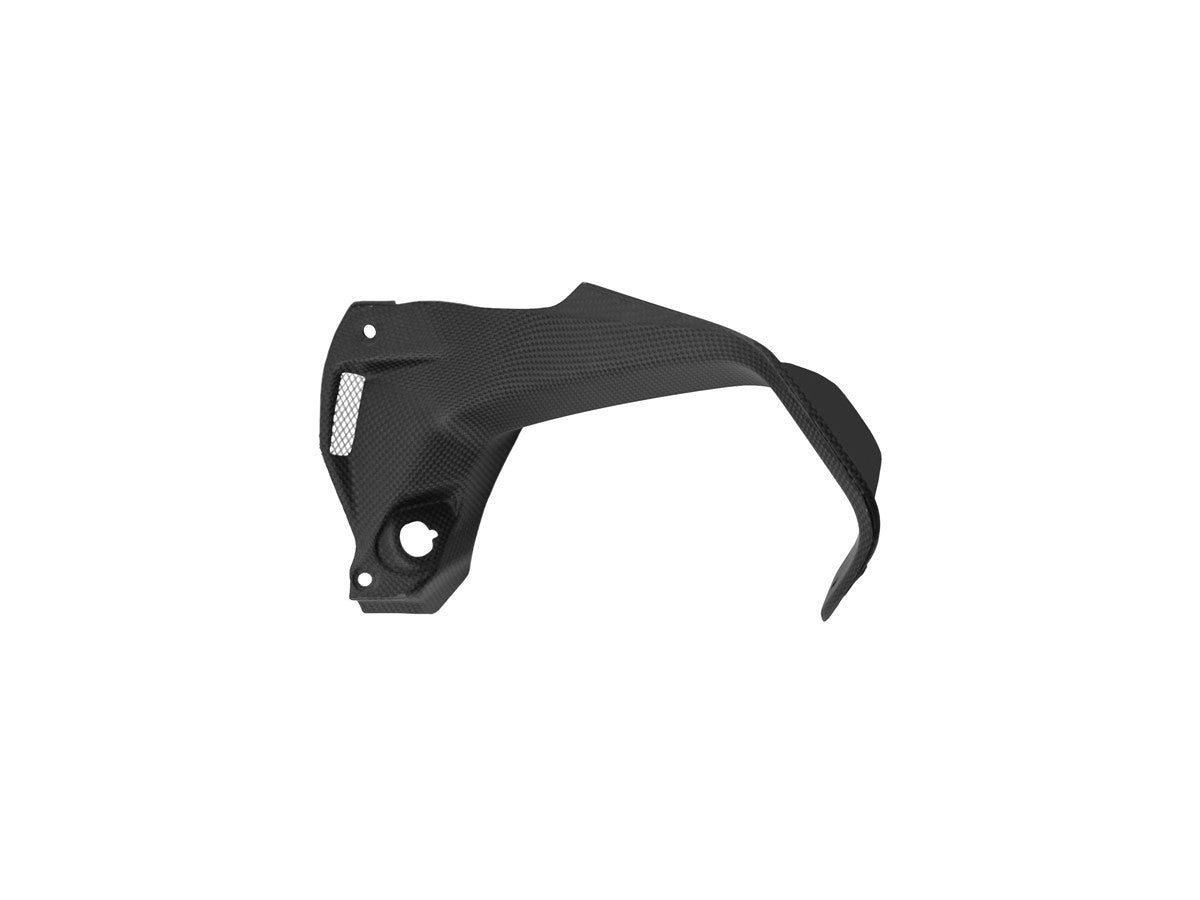 Ducabike DBK CRB49O - MTS V4/V4s Matte Carbon Protective Head Panel