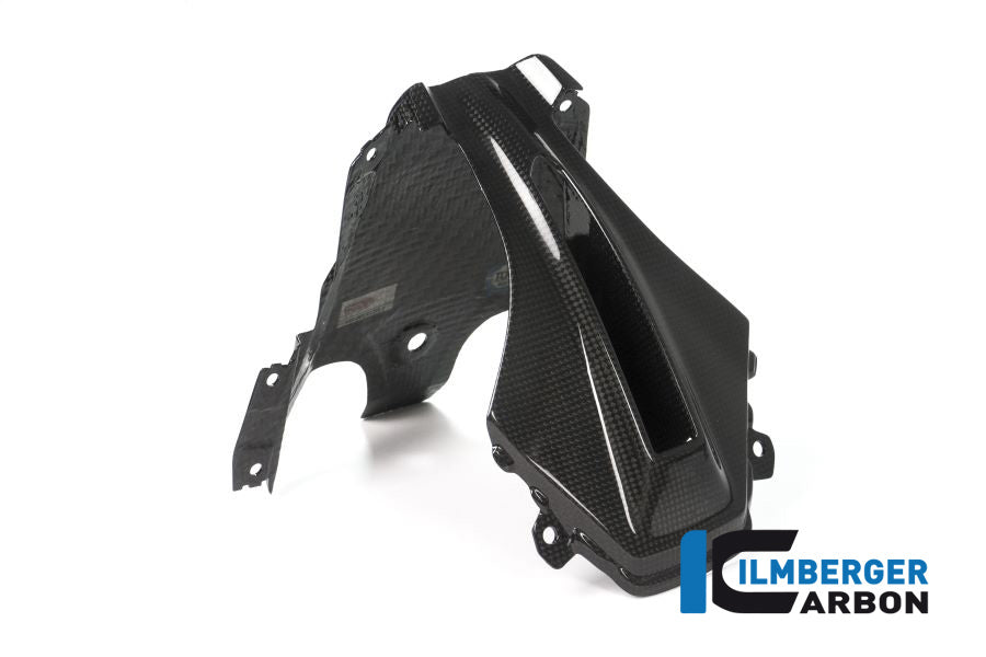 Ilmberger Carbon Verkleidungsmitterteil Oben BMW R1200RS'15