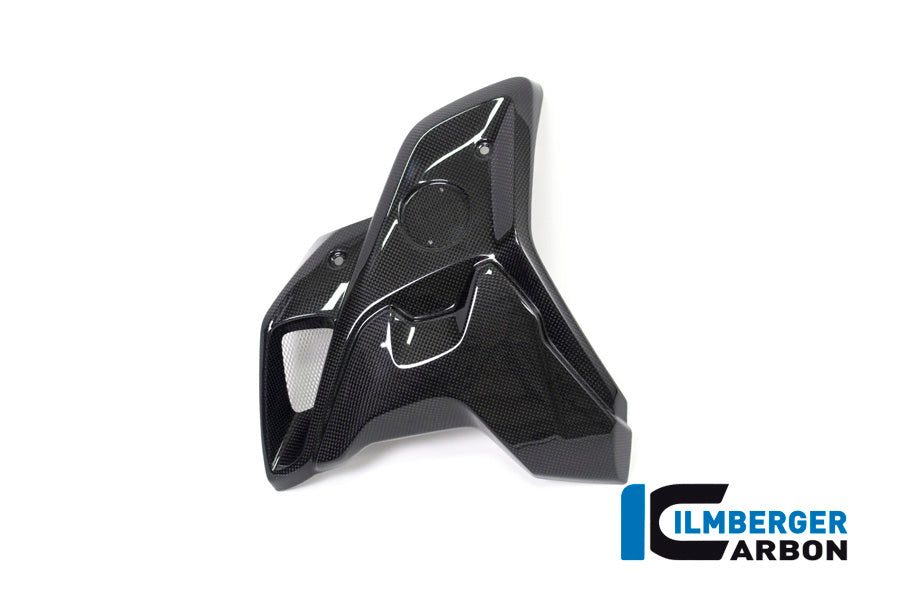 Ilmberger Carbon Airtube Left Side Complete Incl Flap BMW R 1200 GS´17